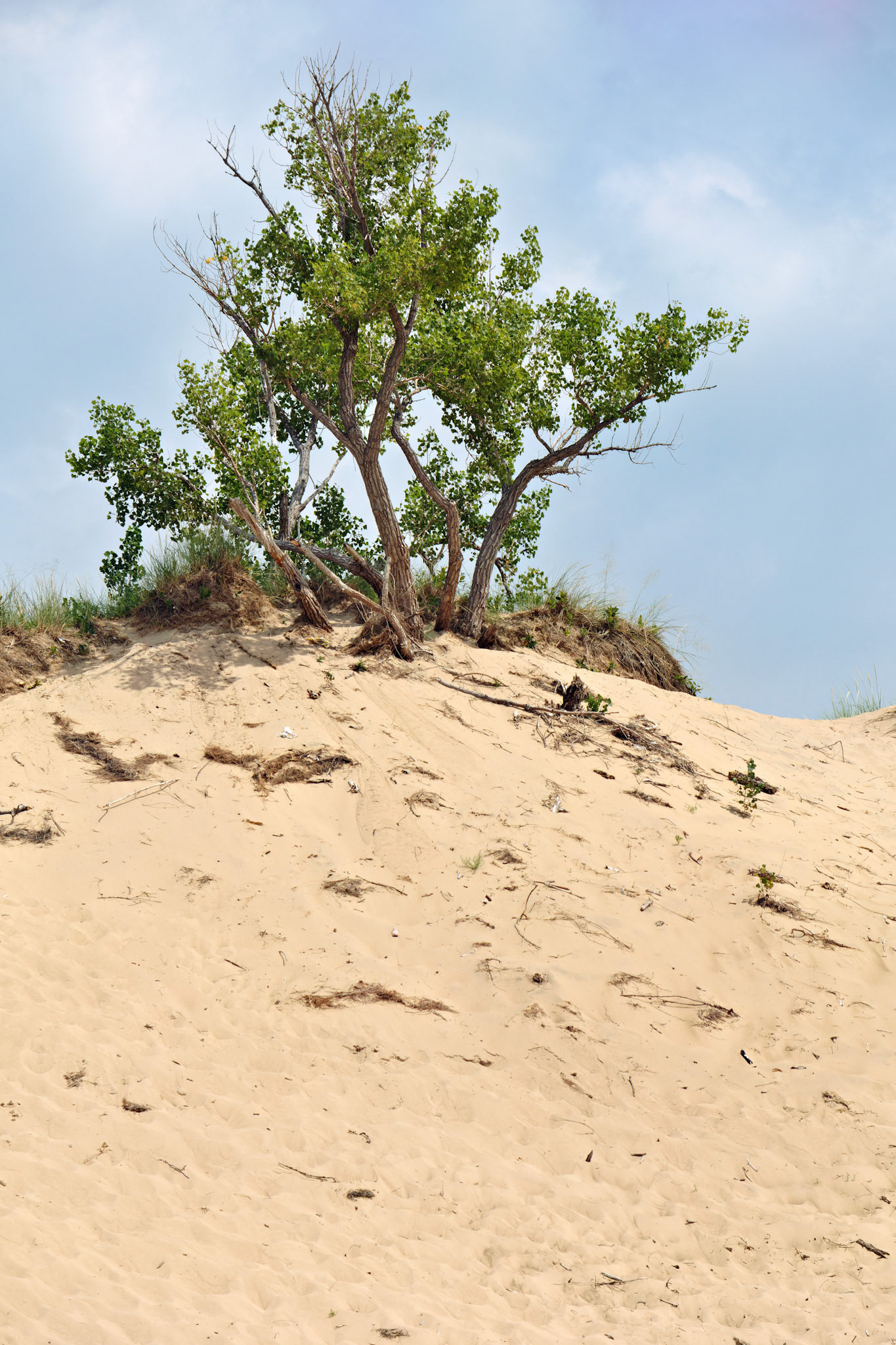 MI_New BuffaloArea_20150808_0111_PS