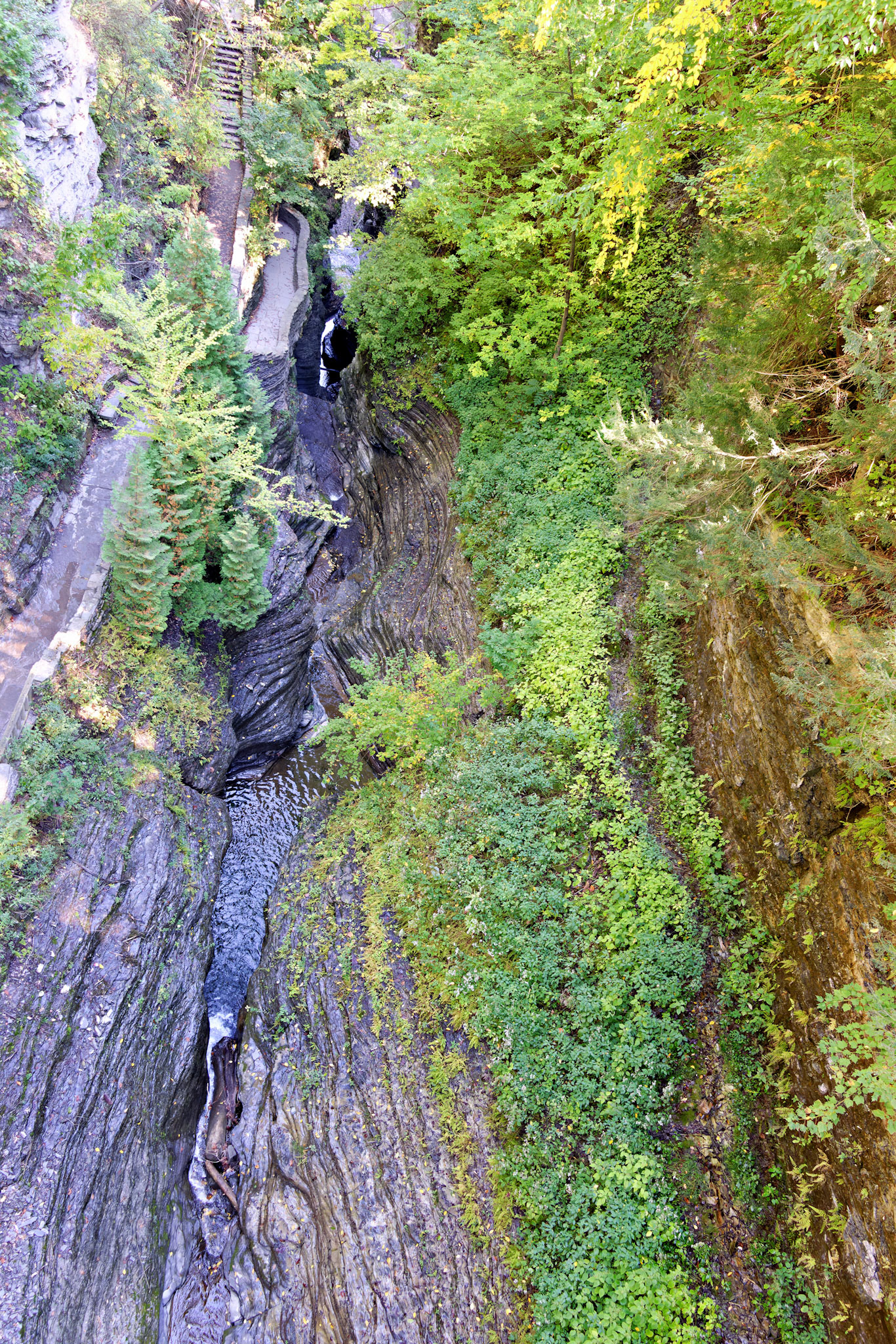 NY_FingerLakes_20120927_0231_PS