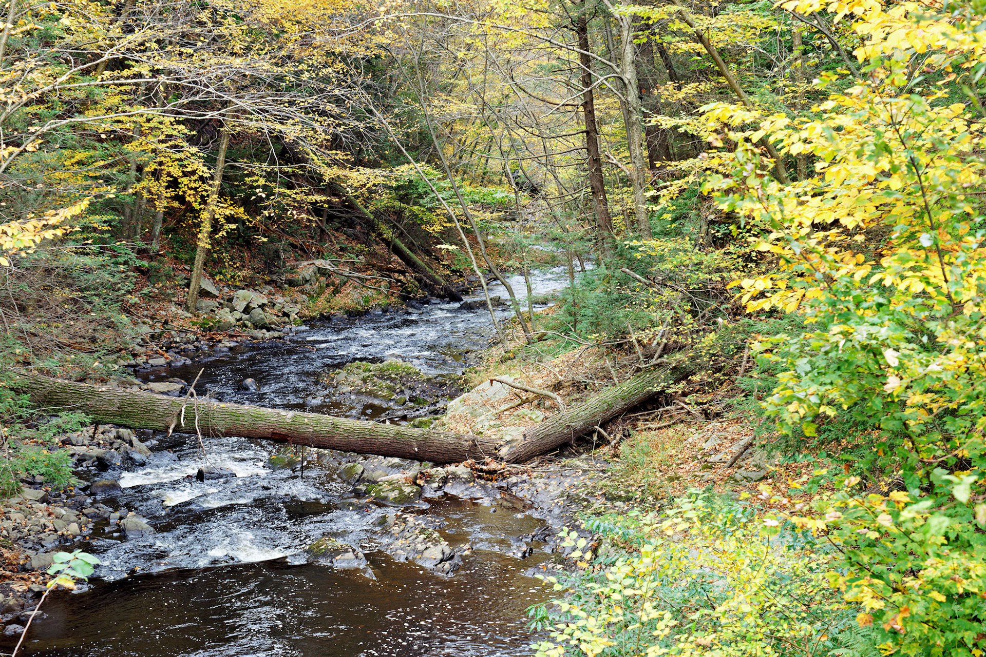 CT_20141017_0435_PS