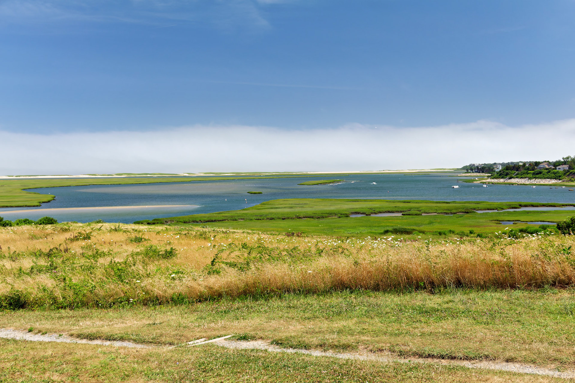 MA_CapeCodNatShore_20180723_0052_PS