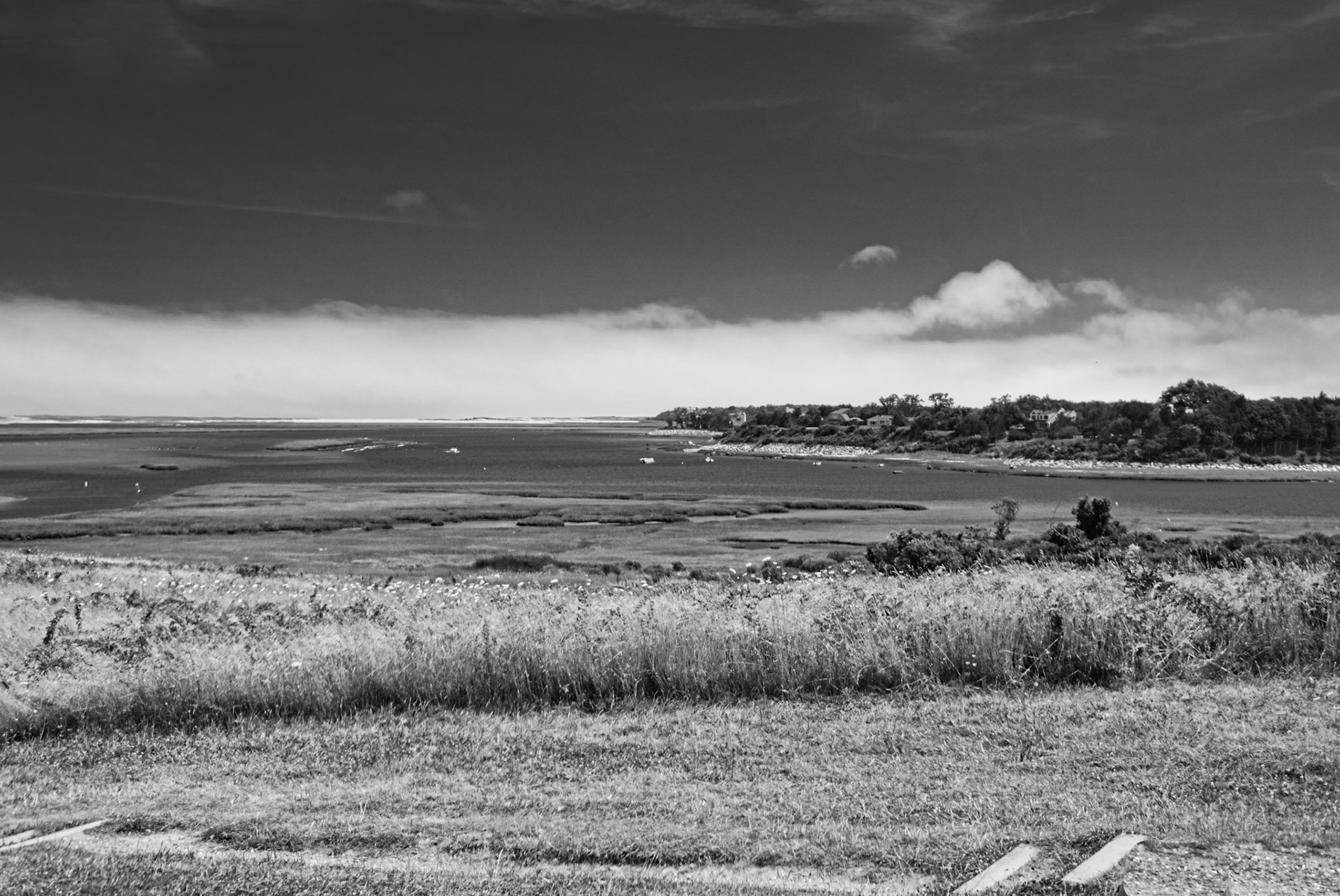 Black &amp; White 00292