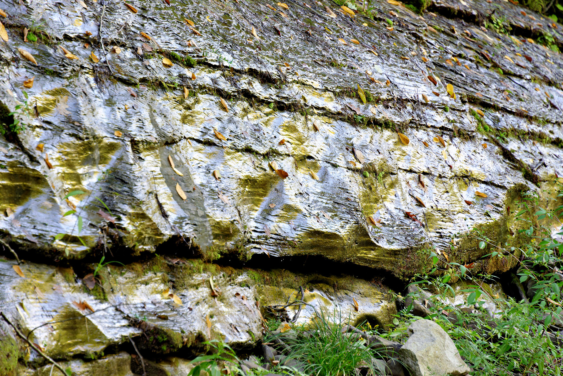 NY_FingerLakes_20120927_0214_PS