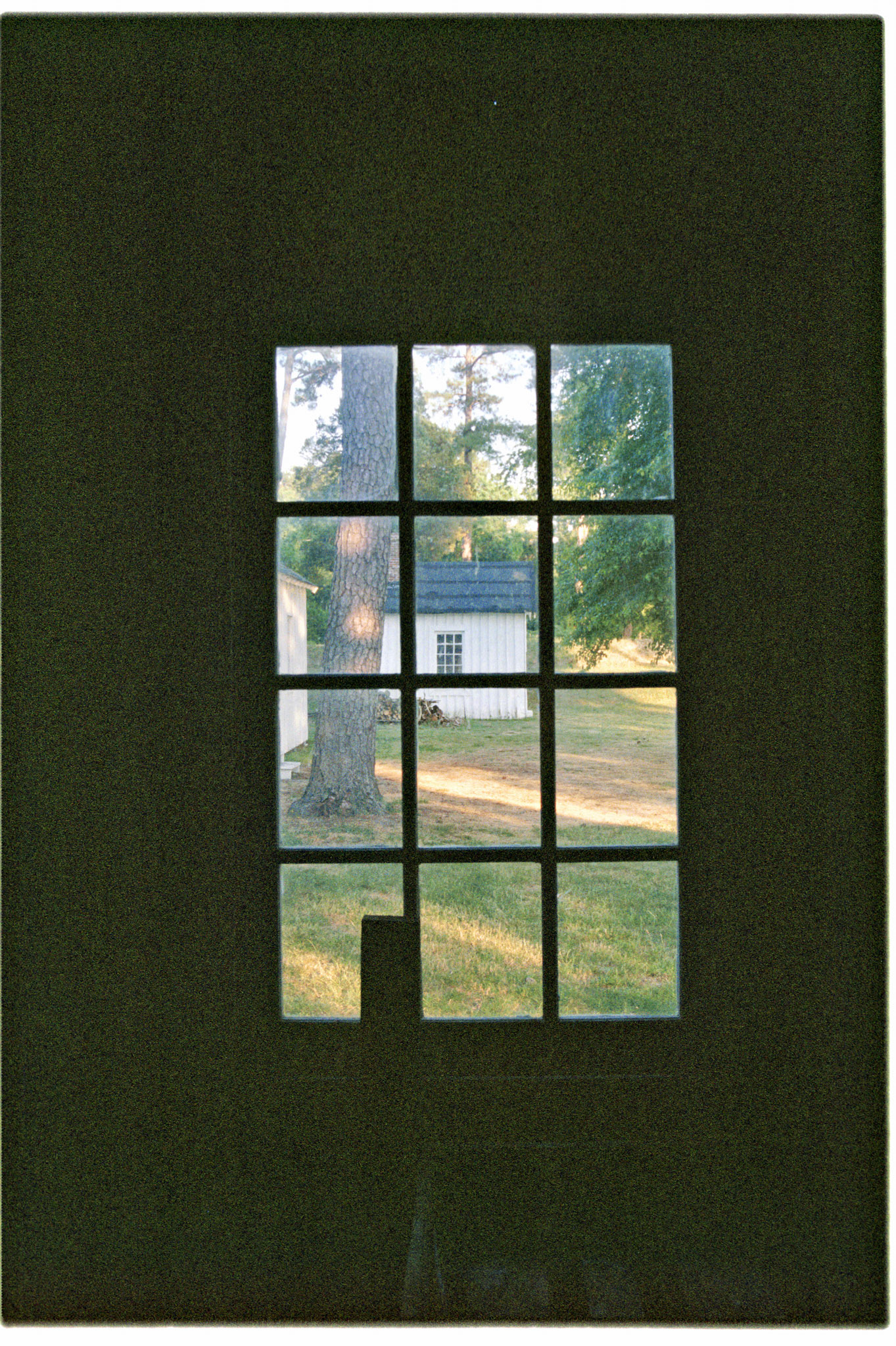 VA_20071031_0025_PS.dng