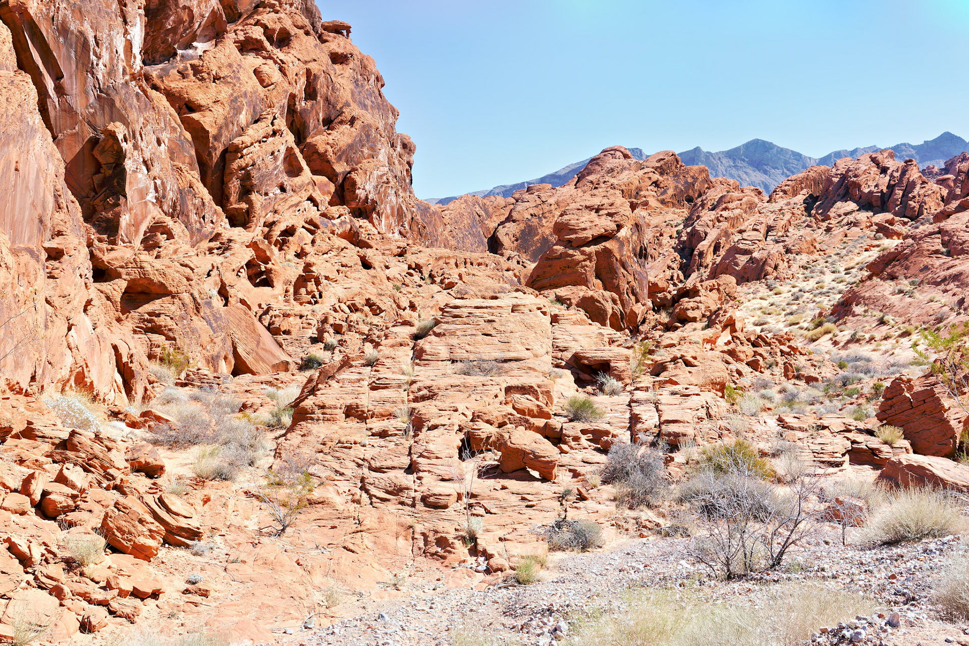 NV_Deserts_20120313_0129_PS.tif