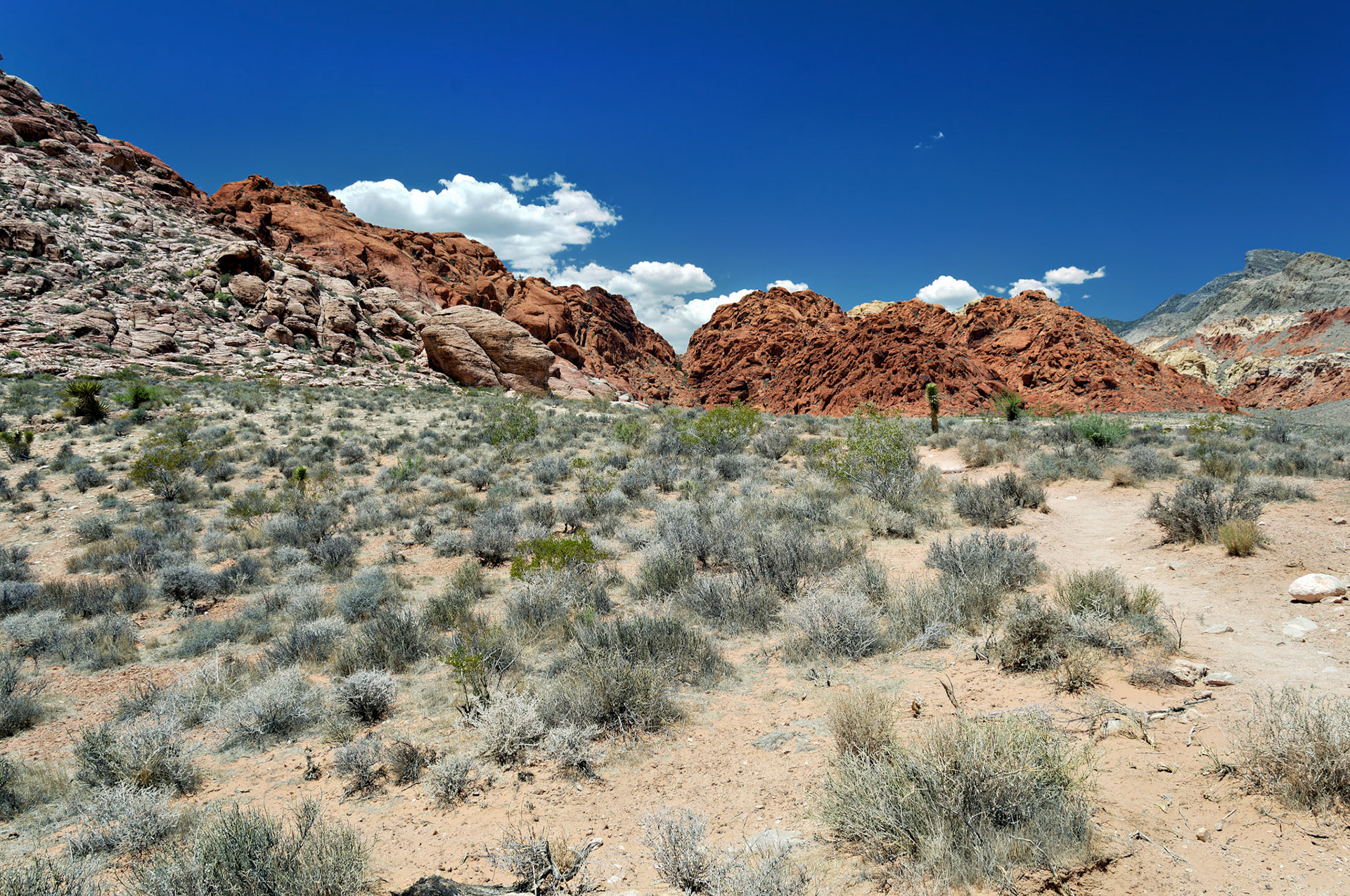 NV_20070531_0104_PS