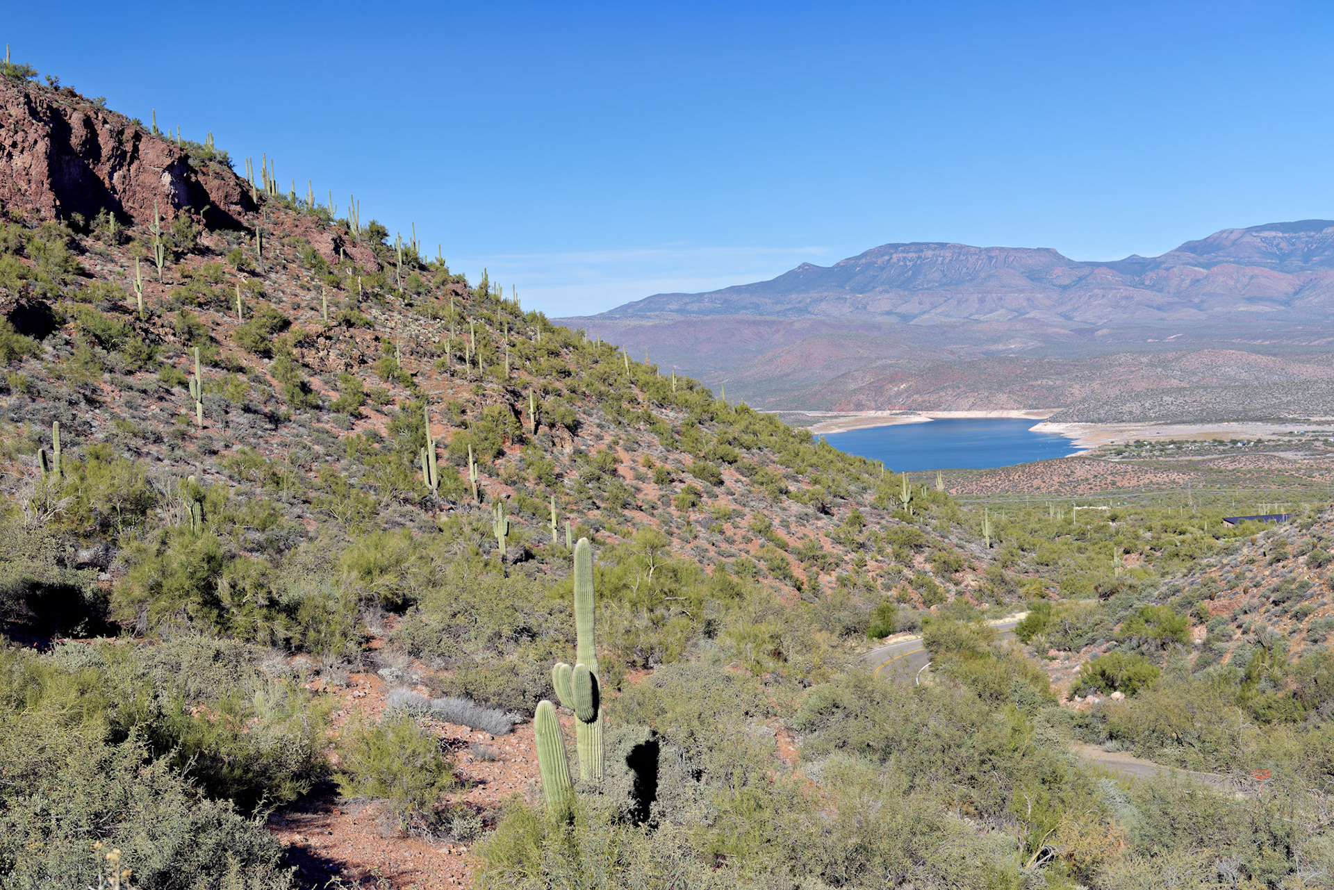 AZ_20121210_0398_PS.dng