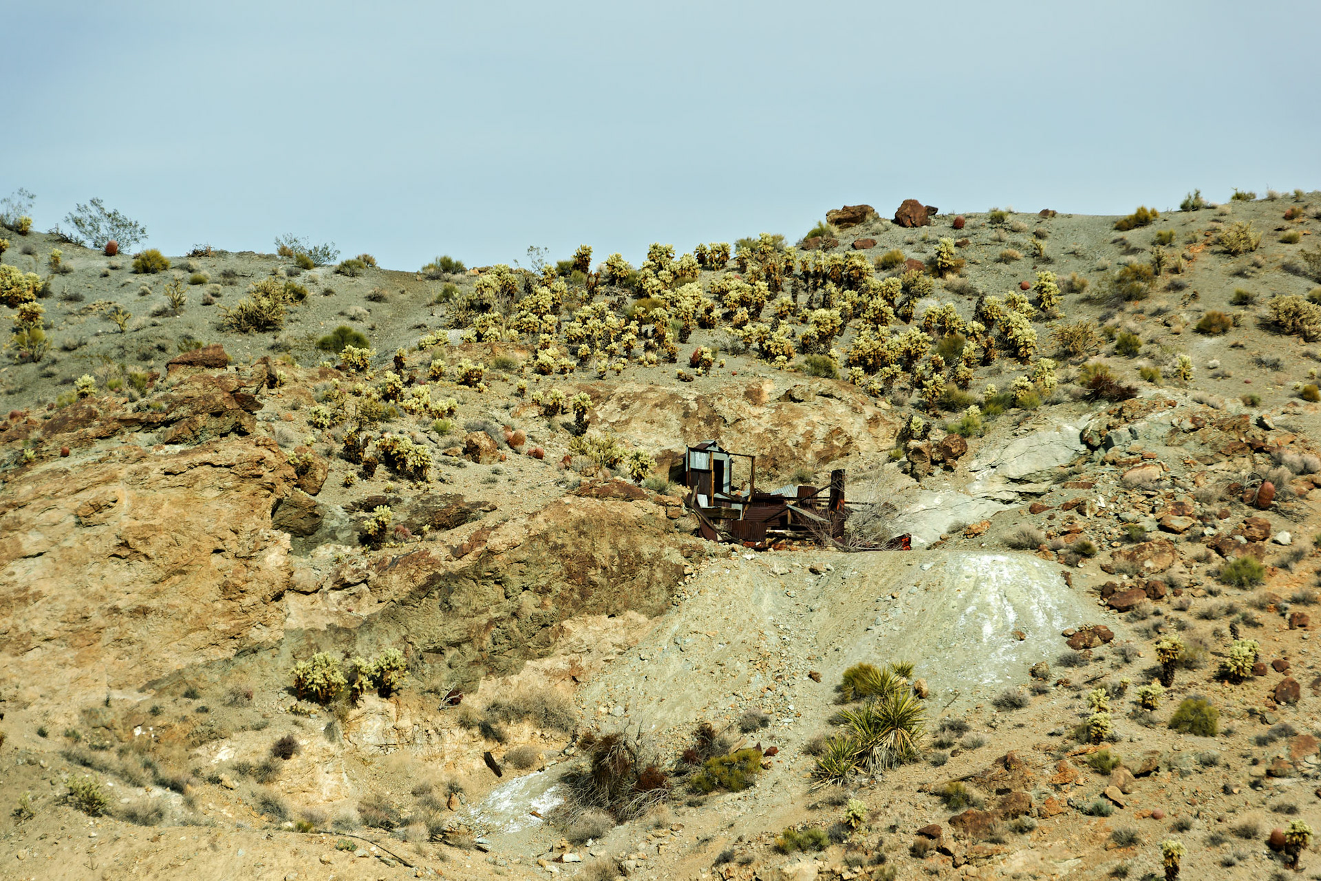 NV_Deserts_20120314_0268_PS.tif