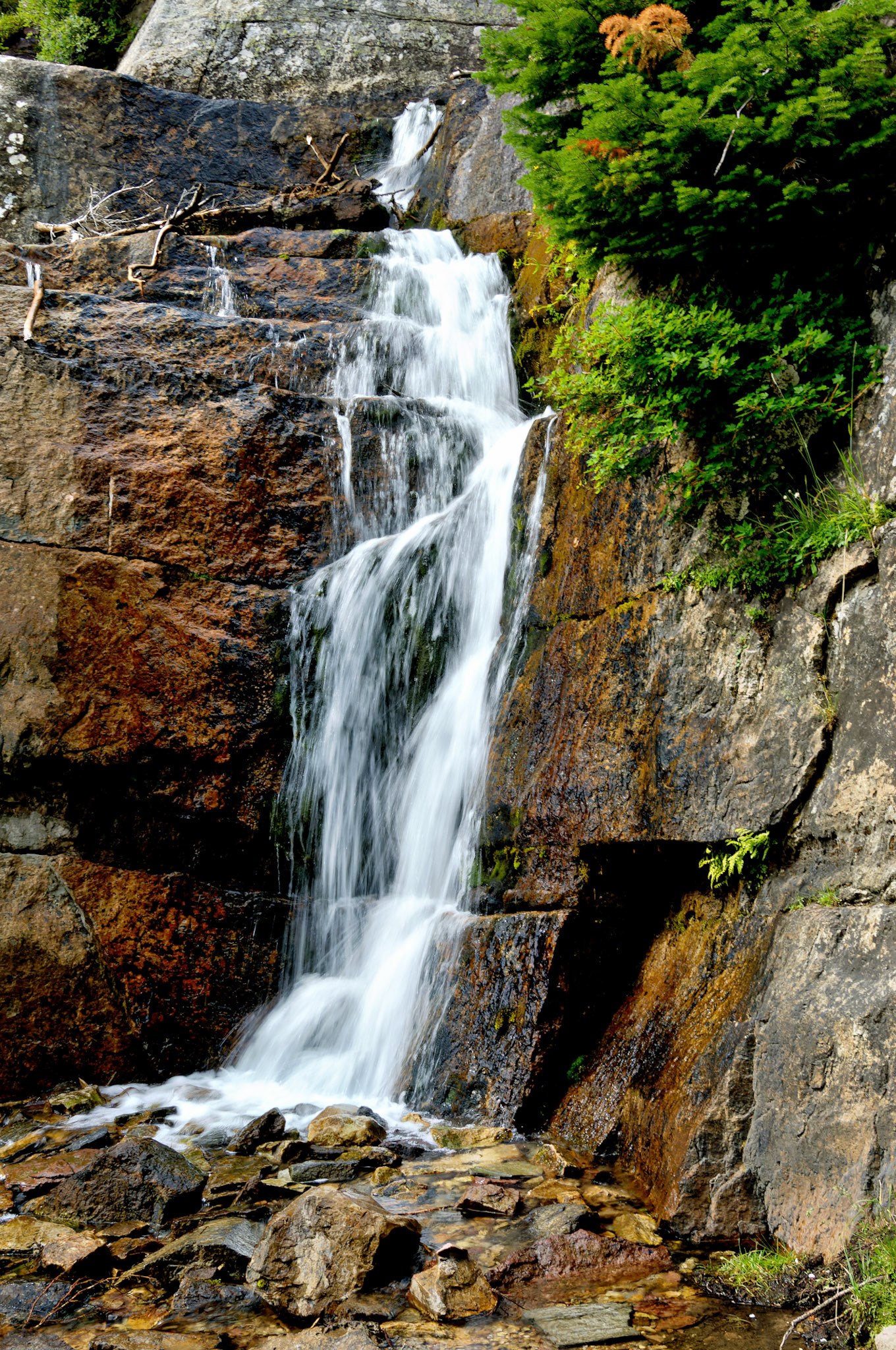 CN_20060801_0487_PS