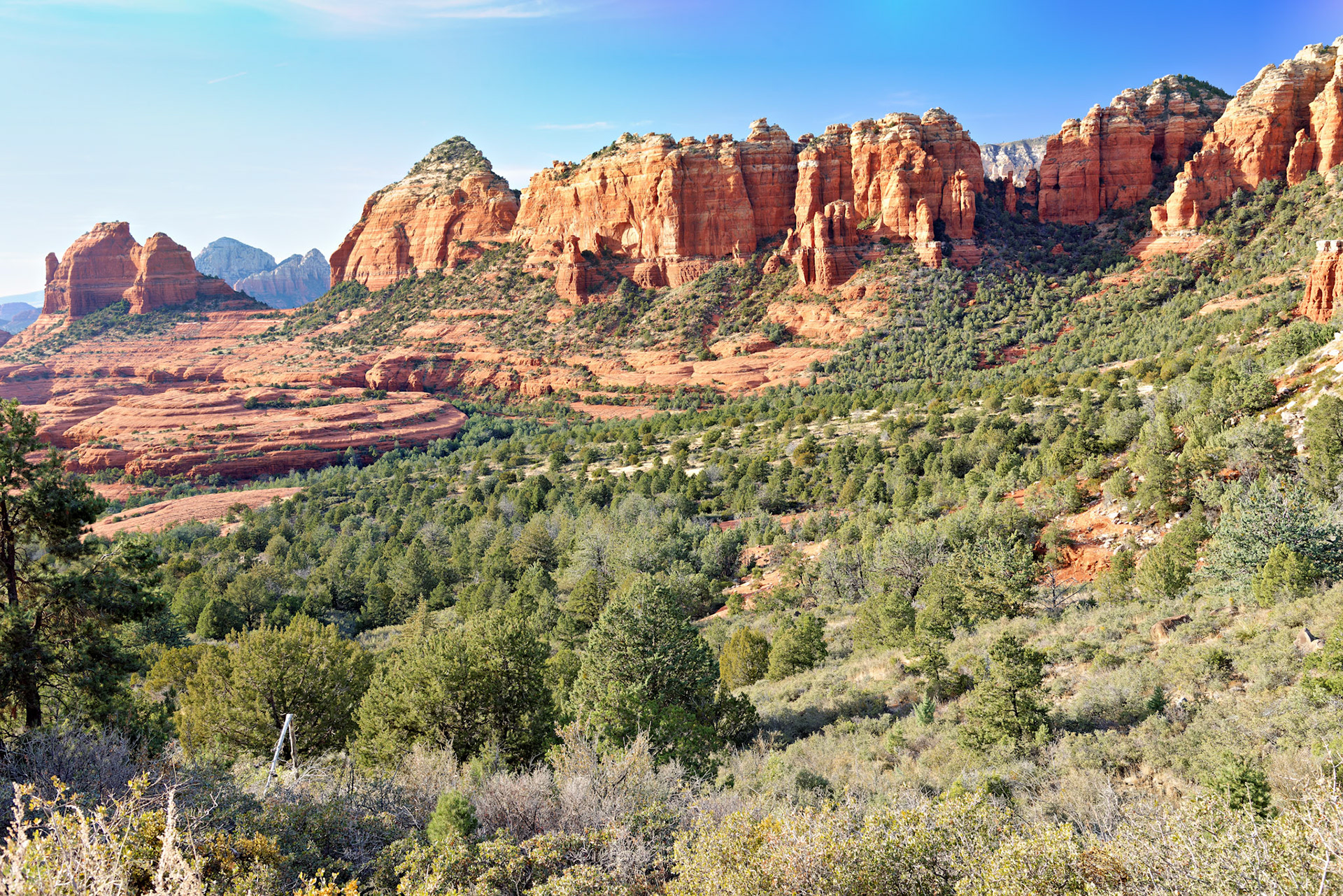 AZ_20121211_0569_PS.dng