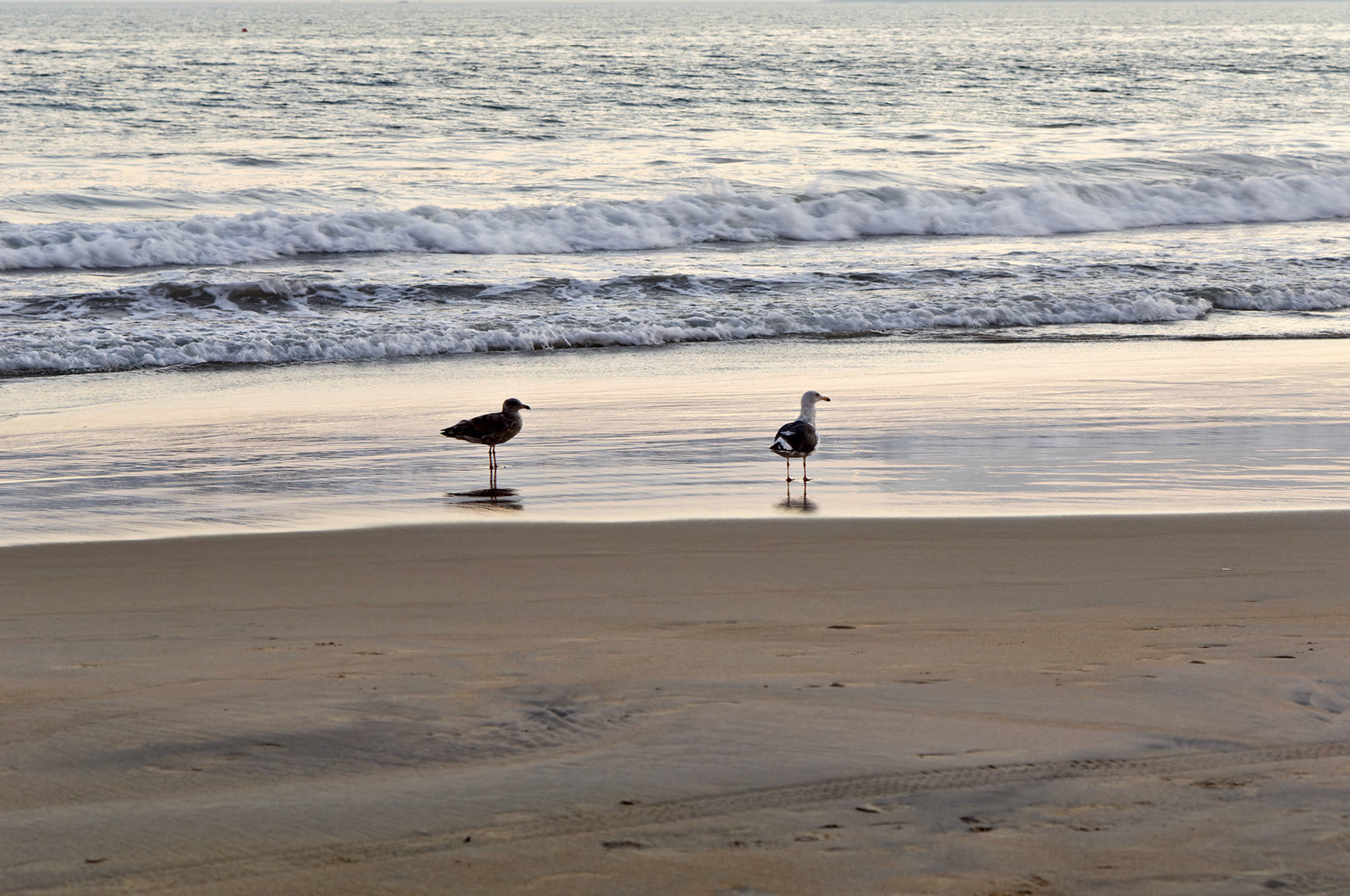 CA_SanDiego_20050729_0123_PS.dng