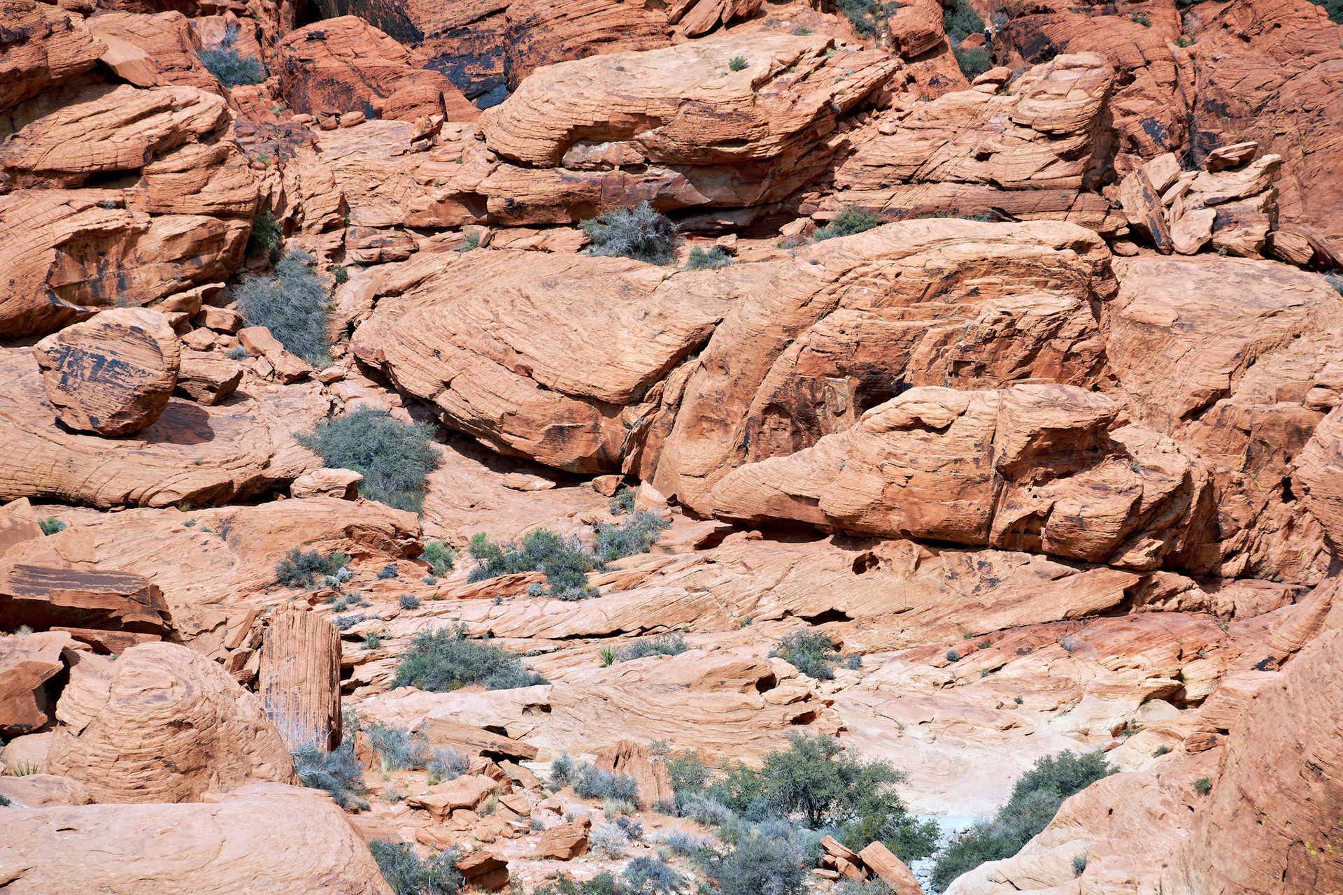 NV_Deserts_20120312_0056_PS.tif