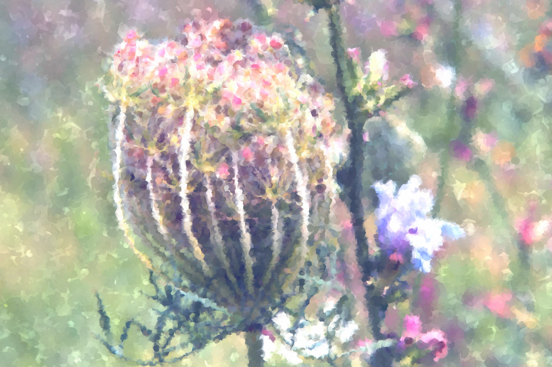 Painting__DSC0082DWCR