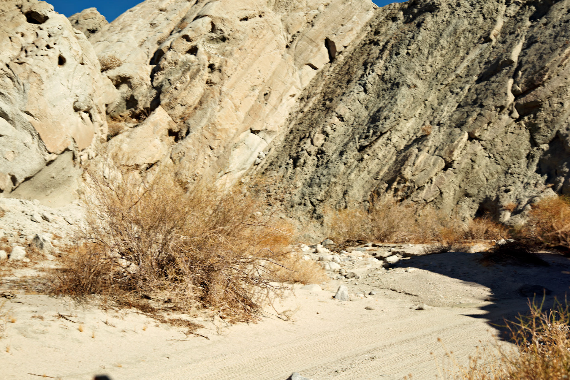 CA_PalmSprings_20111117_0538_PS