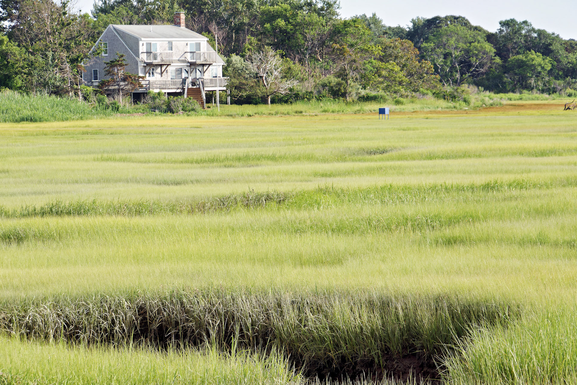 MA_CapeCod_20150717_0245_PS