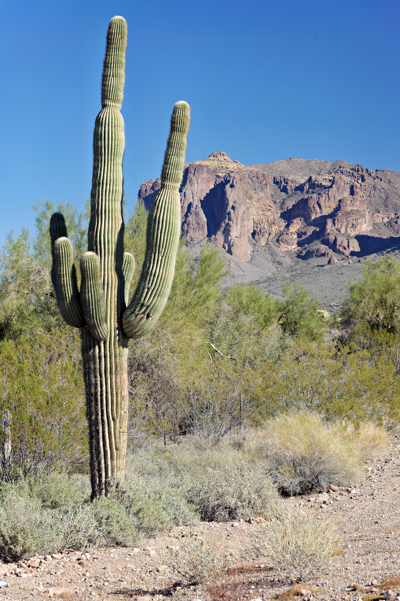 AZ_20121209_0291_PS.dng
