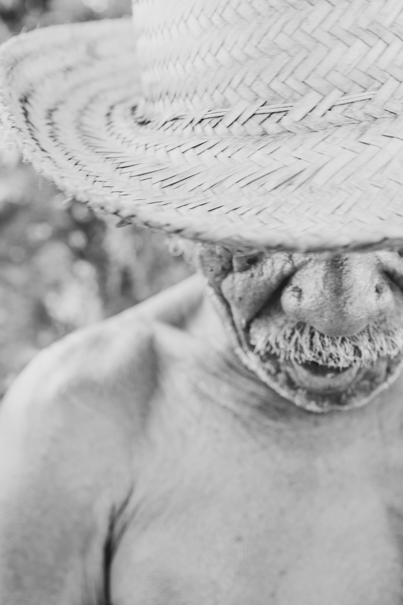 Projeto Bem-querer Marajó - Comunidade Caldeirão