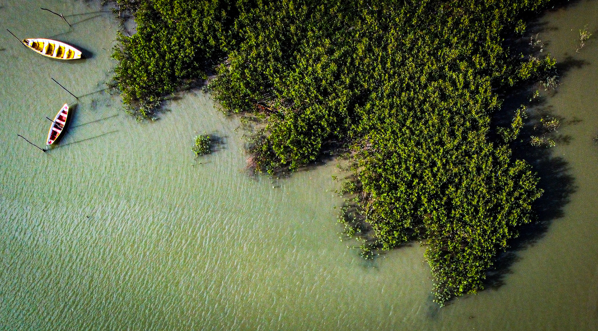 DCIM\101MEDIA\DJI_0172.JPG