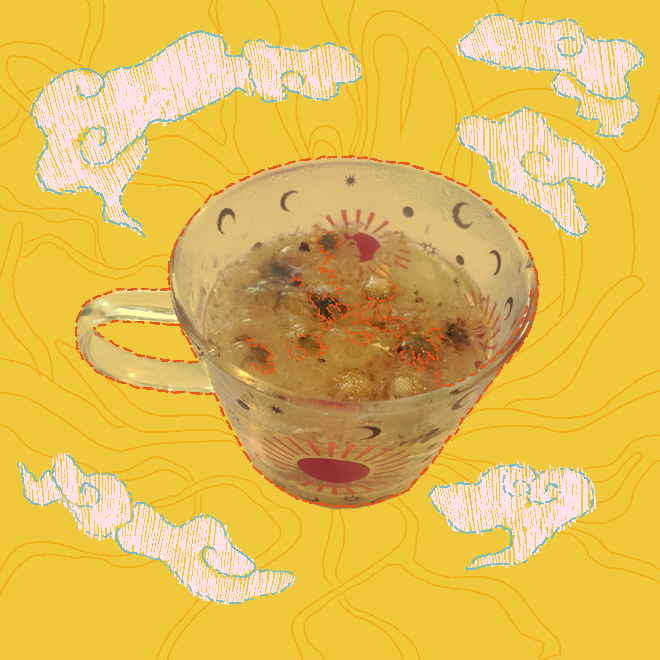 菊花茶 : chrysanthemum tea