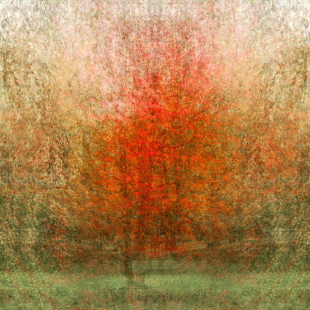 Experimentelle Fotografie und abstrakte Fotokunst Nicole Holz - Übersetzung urbaner Landschaften aus der authentischen Fotografie in abstrakte, surreale Interpretationen und künstlerische Genres der Fotokunst. Werke, welche in ihrer Reduzierung der konkreten Strukturen so weit gehen, dass abstrakte, dafür in ihrem emotionalen Eindruck umso stärkere Bilder von Natur und Landschaften entstehen.
