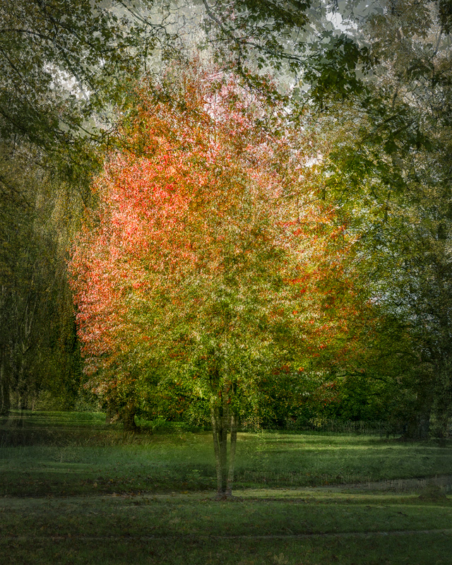 Experimentelle Fotografie und abstrakte Fotokunst Nicole Holz - Übersetzung urbaner Landschaften aus der authentischen Fotografie in abstrakte, surreale Interpretationen und künstlerische Genres der Fotokunst. Werke, welche in ihrer Reduzierung der konkreten Strukturen so weit gehen, dass abstrakte, dafür in ihrem emotionalen Eindruck umso stärkere Bilder von Natur und Landschaften entstehen.
