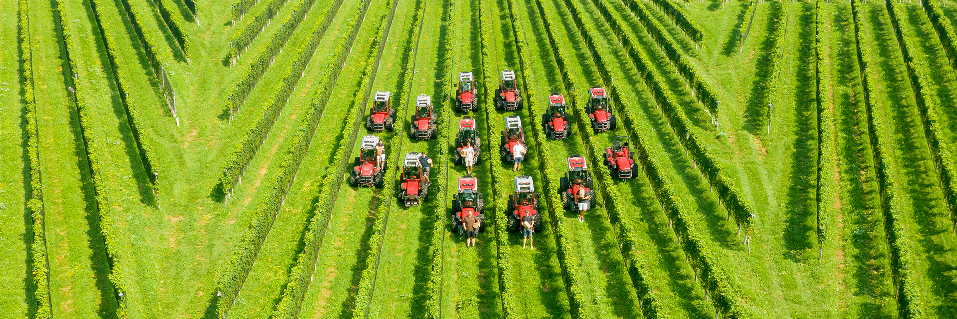 Carraro Weingartentraktor