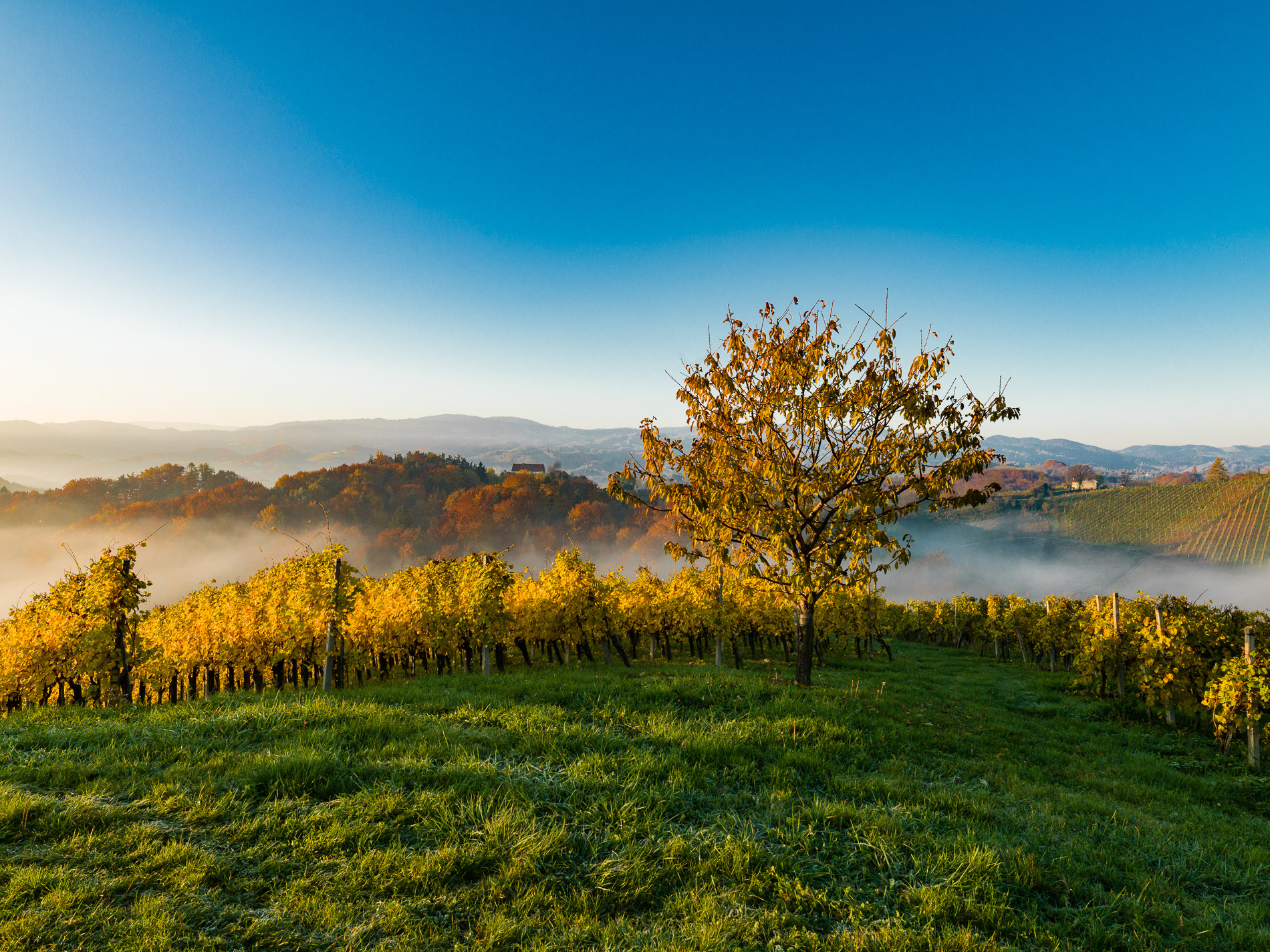 Südsteirische Weinstraße
