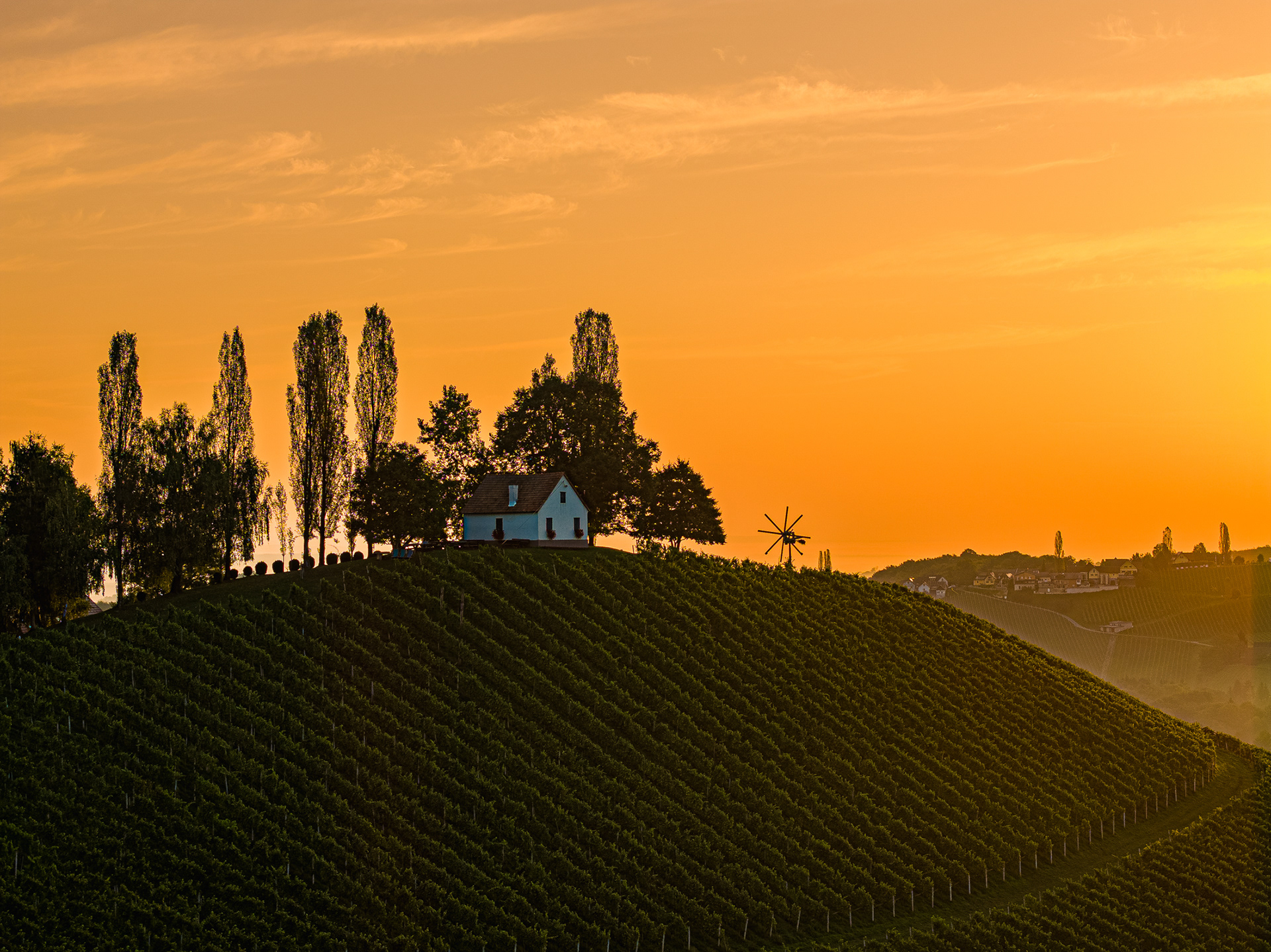 Weingut Adam Schererkogl