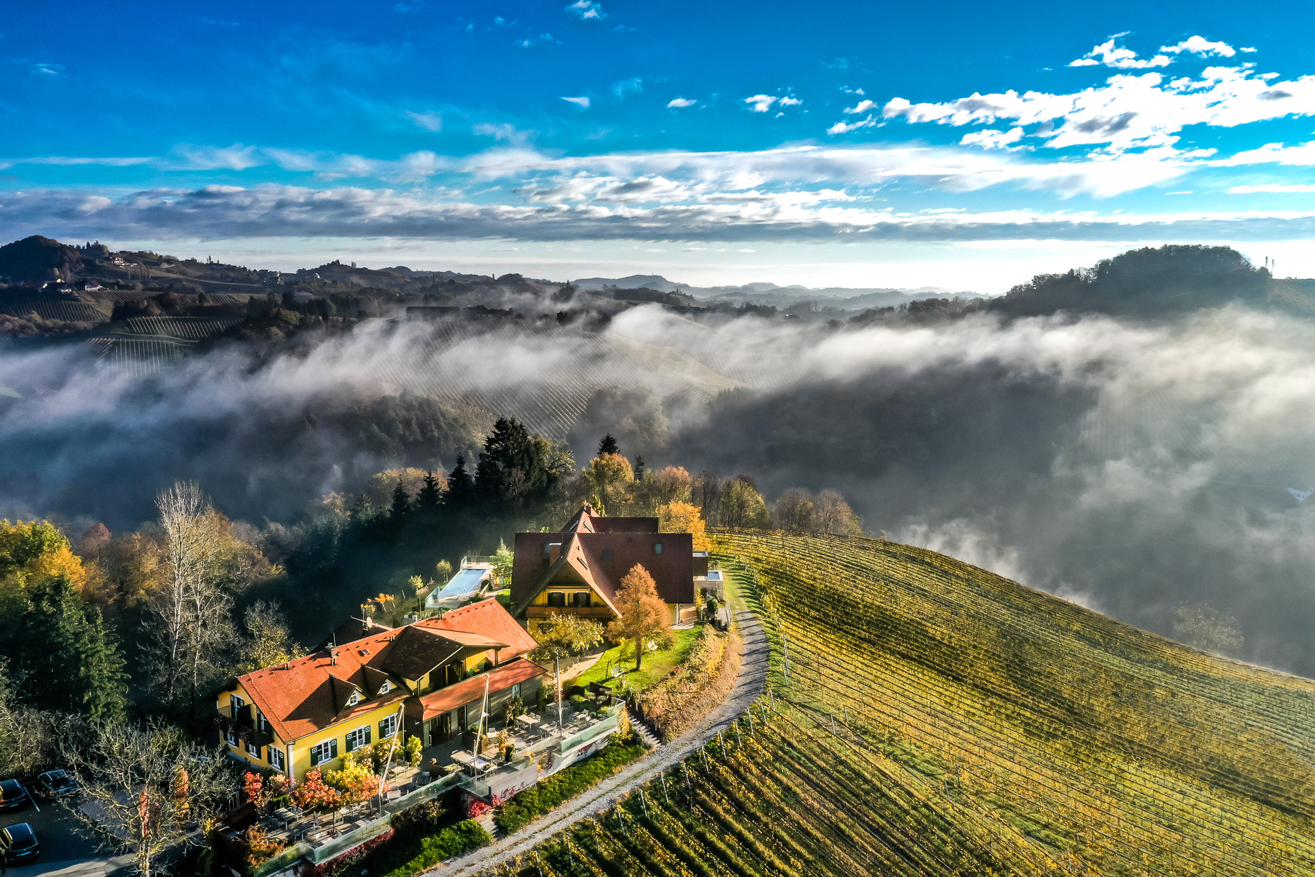 Weingut Schlafgut Sabathihof Dillinger