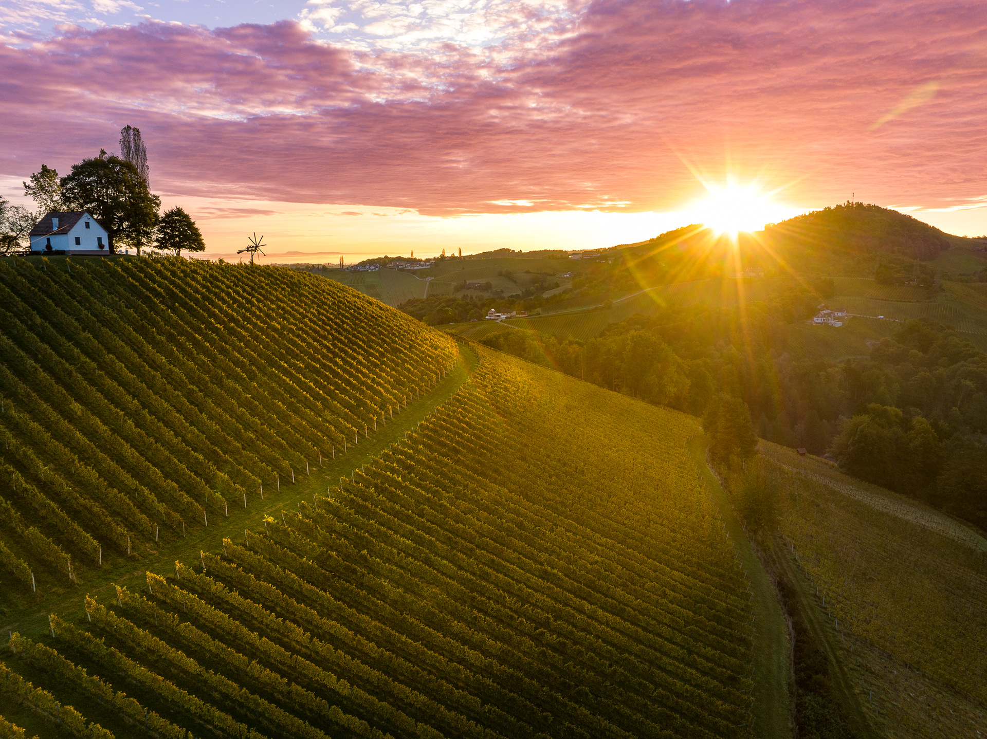Weingut Adam Schererkogl