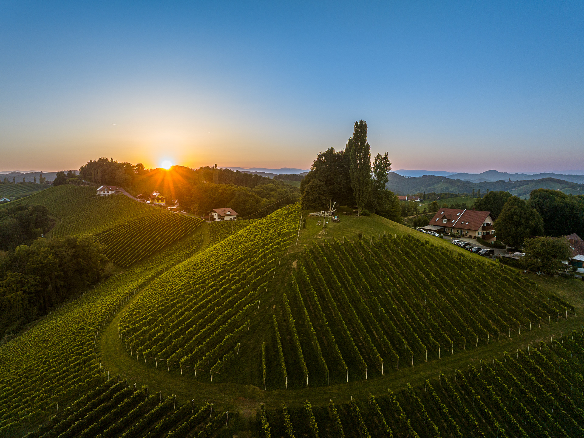 Weingut Adam Schererkogl