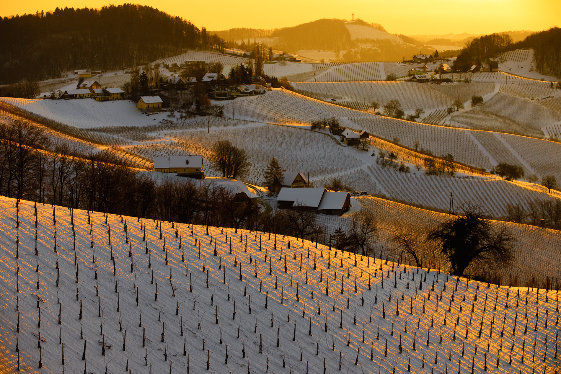 Steiermark Tourismus | Südsteirische Weinstraße im Winter