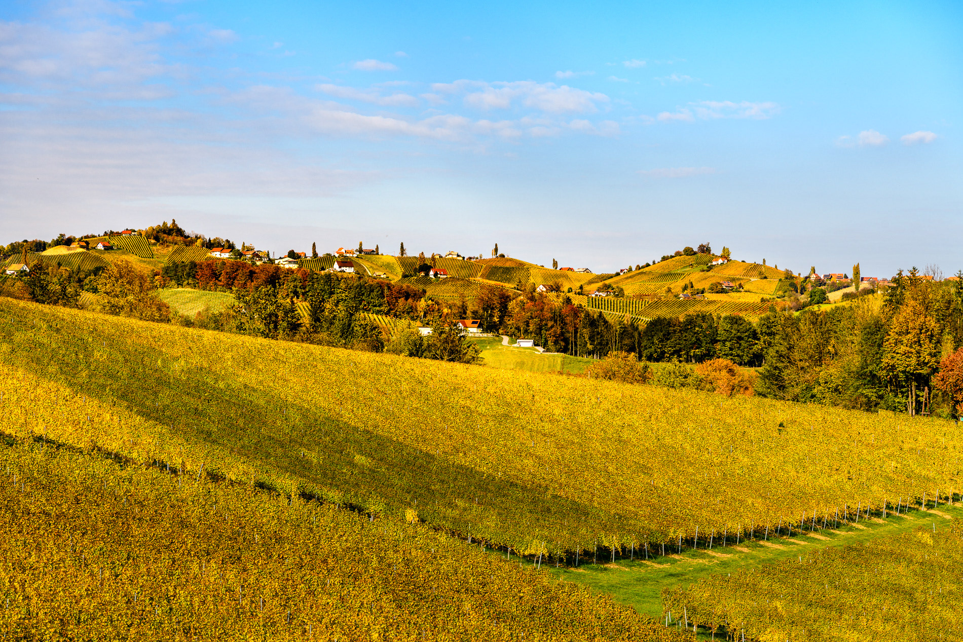Südsteiermark