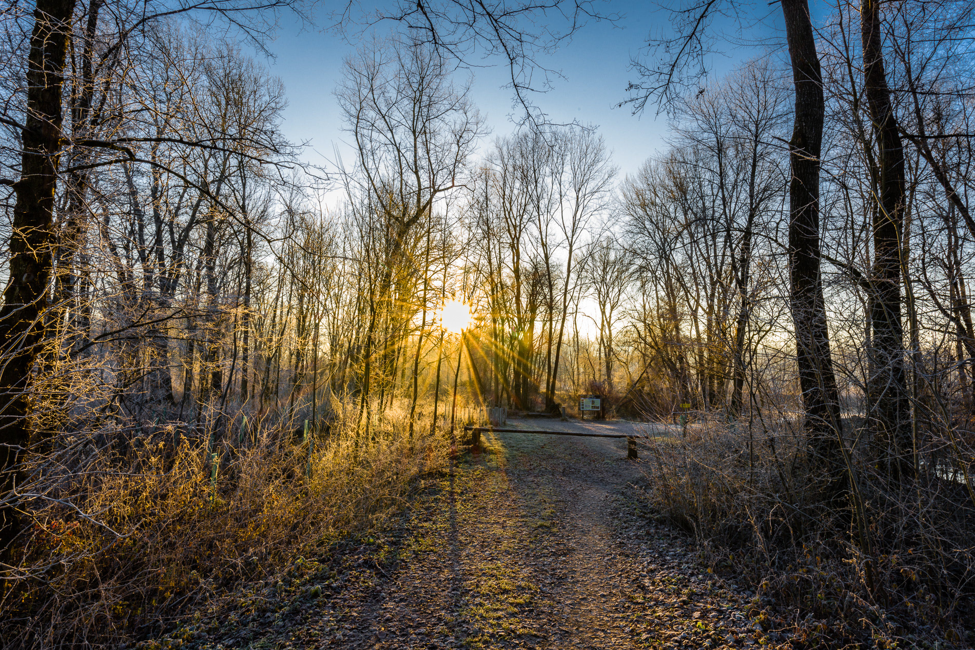 Bad Radkersburg | Murauen