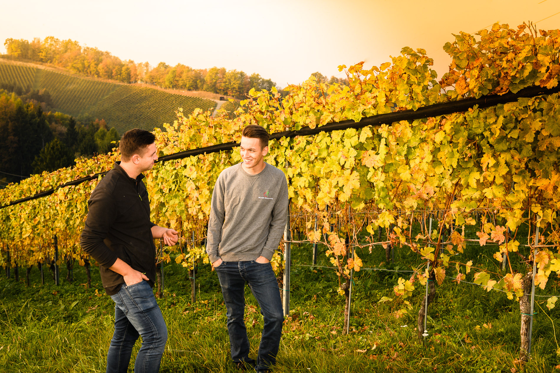 Weingut | Adam Lieleg