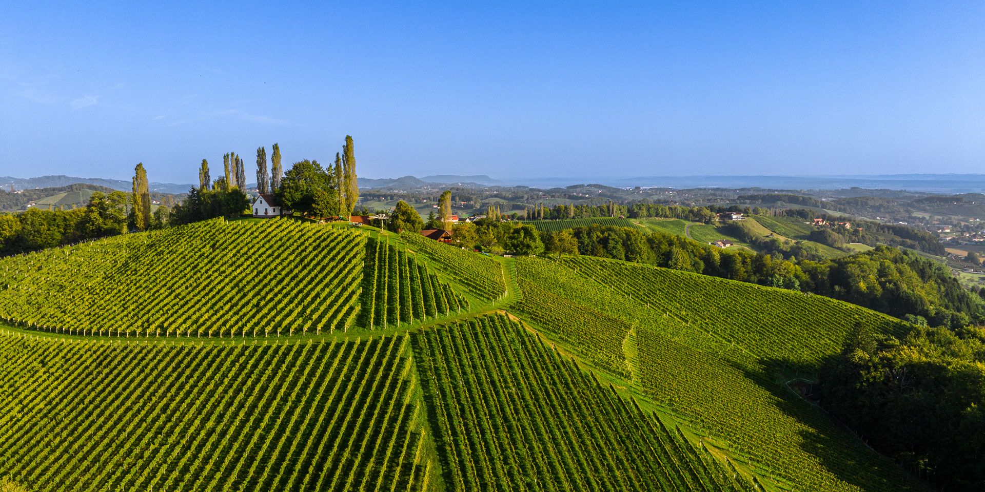Weingut Adam Schererkogl