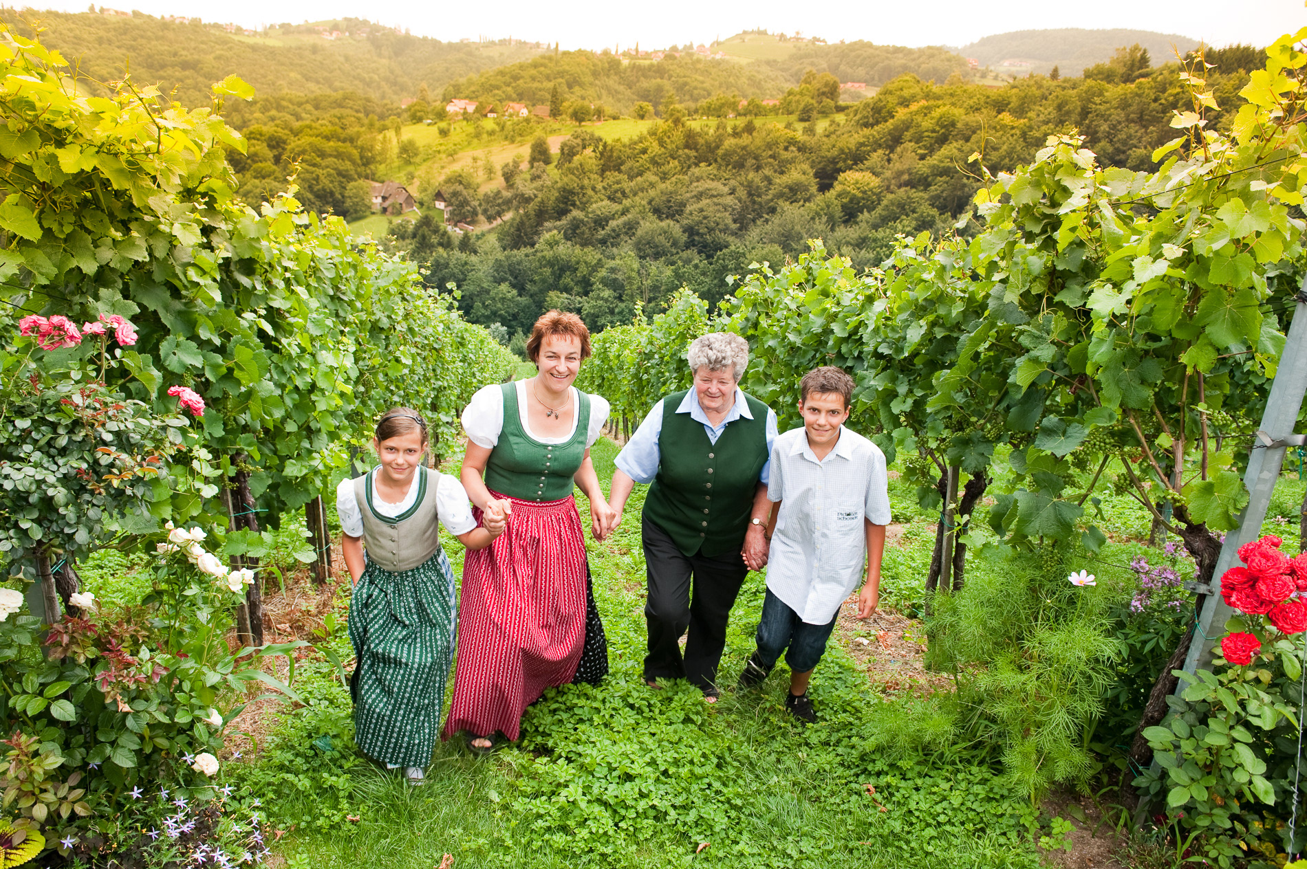 Weingut | Pichler Schober