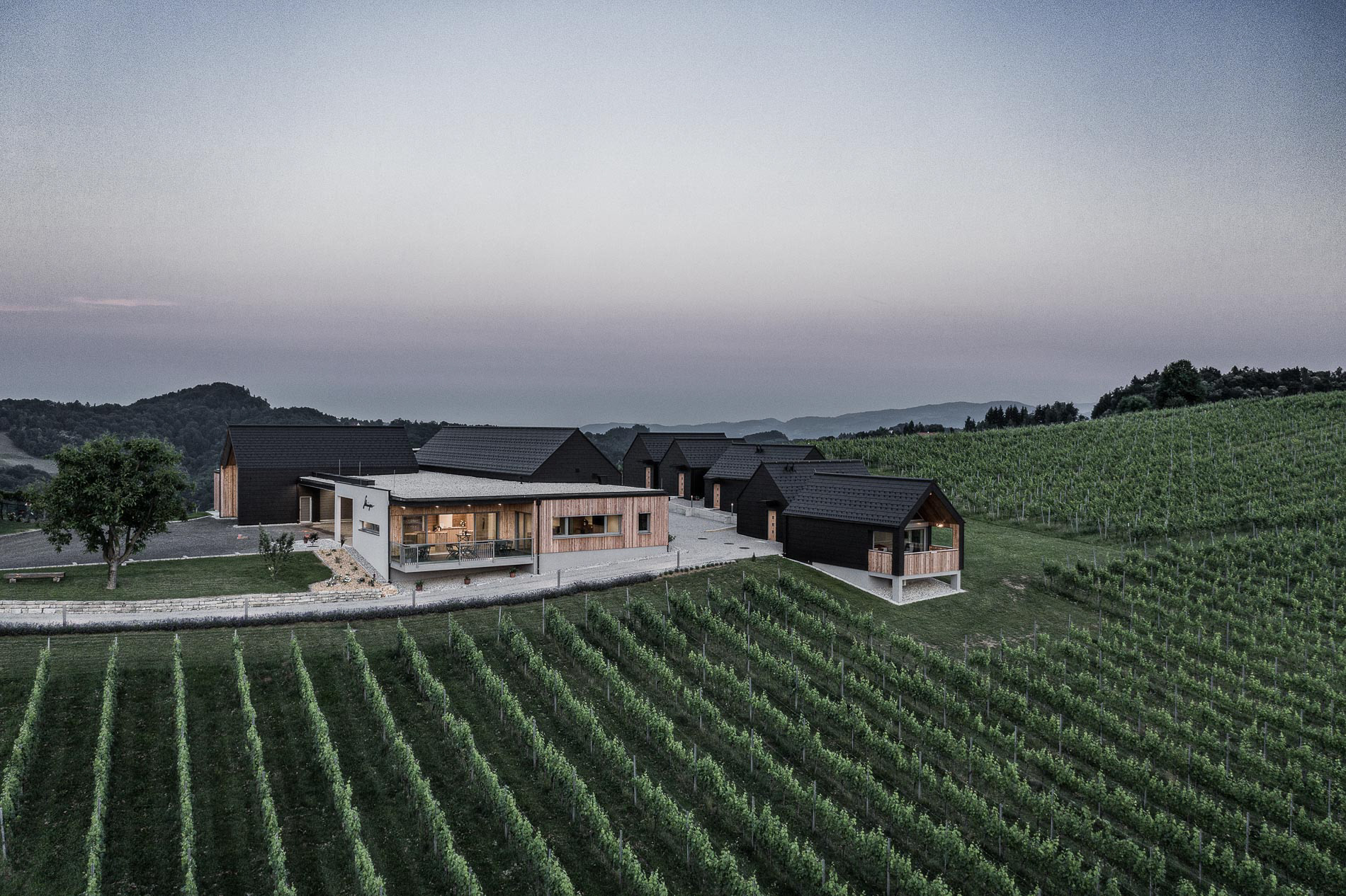 Weingut Skringer