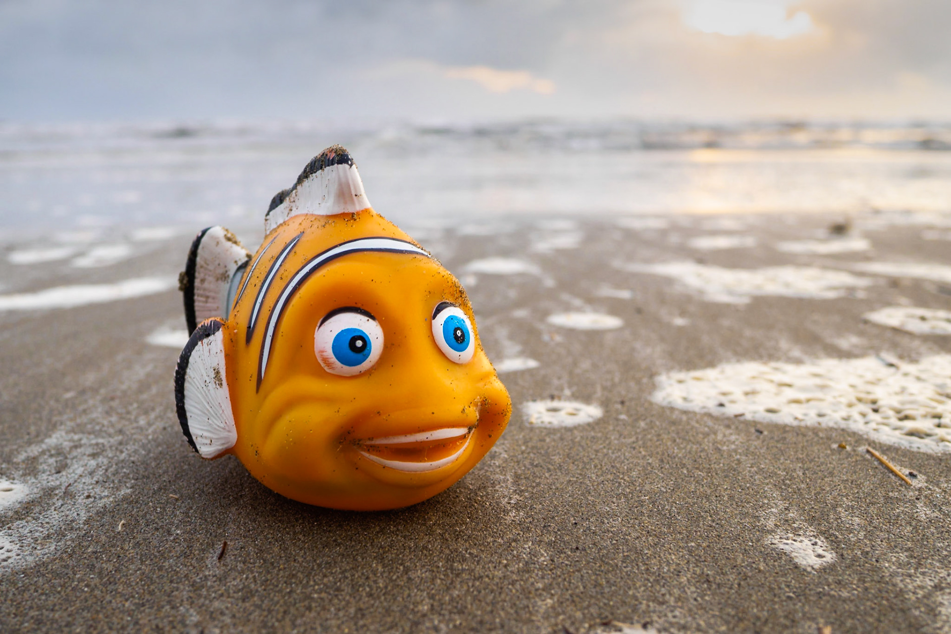 Il sorriso contagioso di un pesce fuor d'acqua