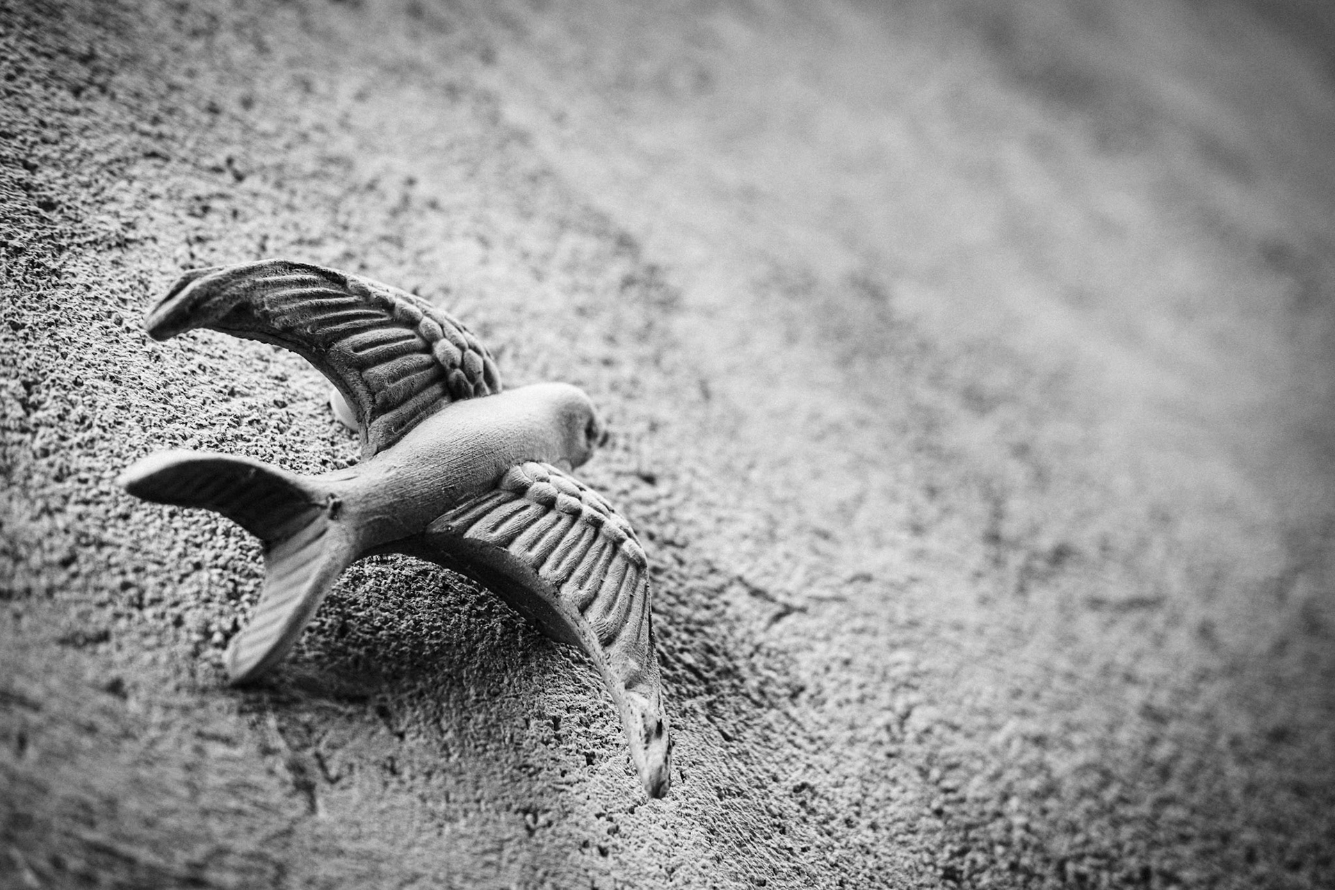 Casoli, frazione di Camaiore