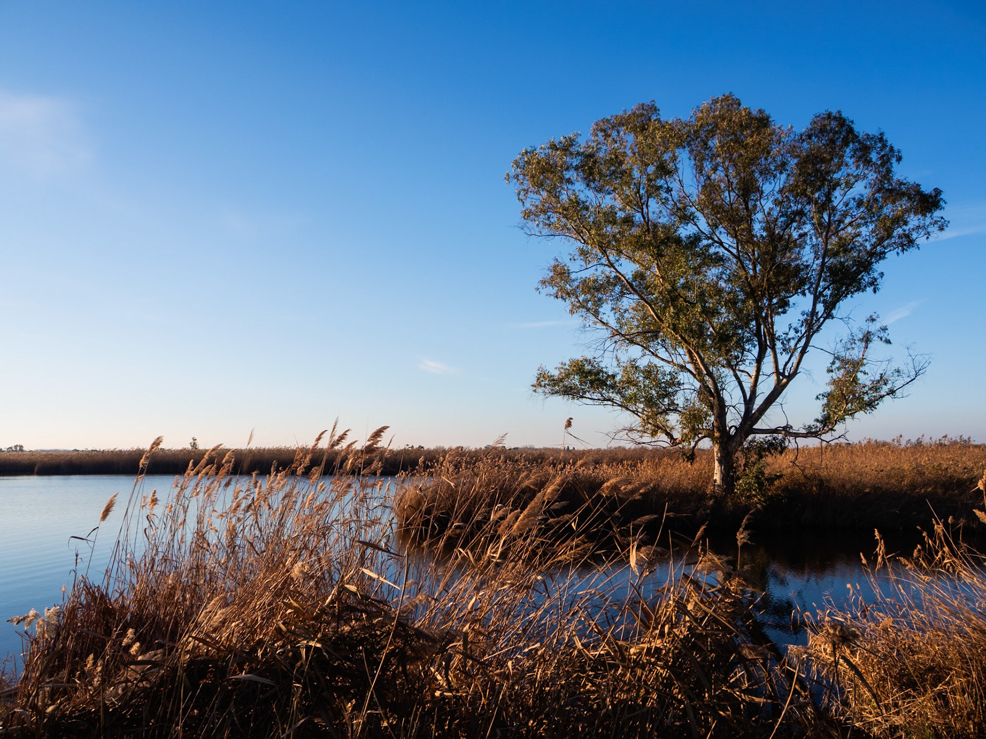 I primi raggi di sole