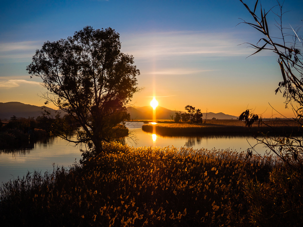 La magia dell'alba riflessa nelle acque | Fosso Burlamacca, Viareggio