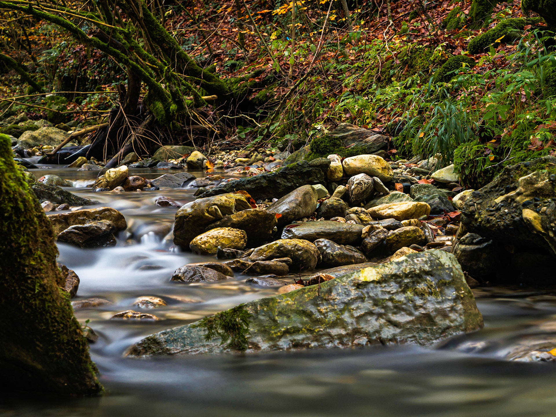 Torrente Turrite Seccai, località Campagrina - Arni, frazione di Stazzema