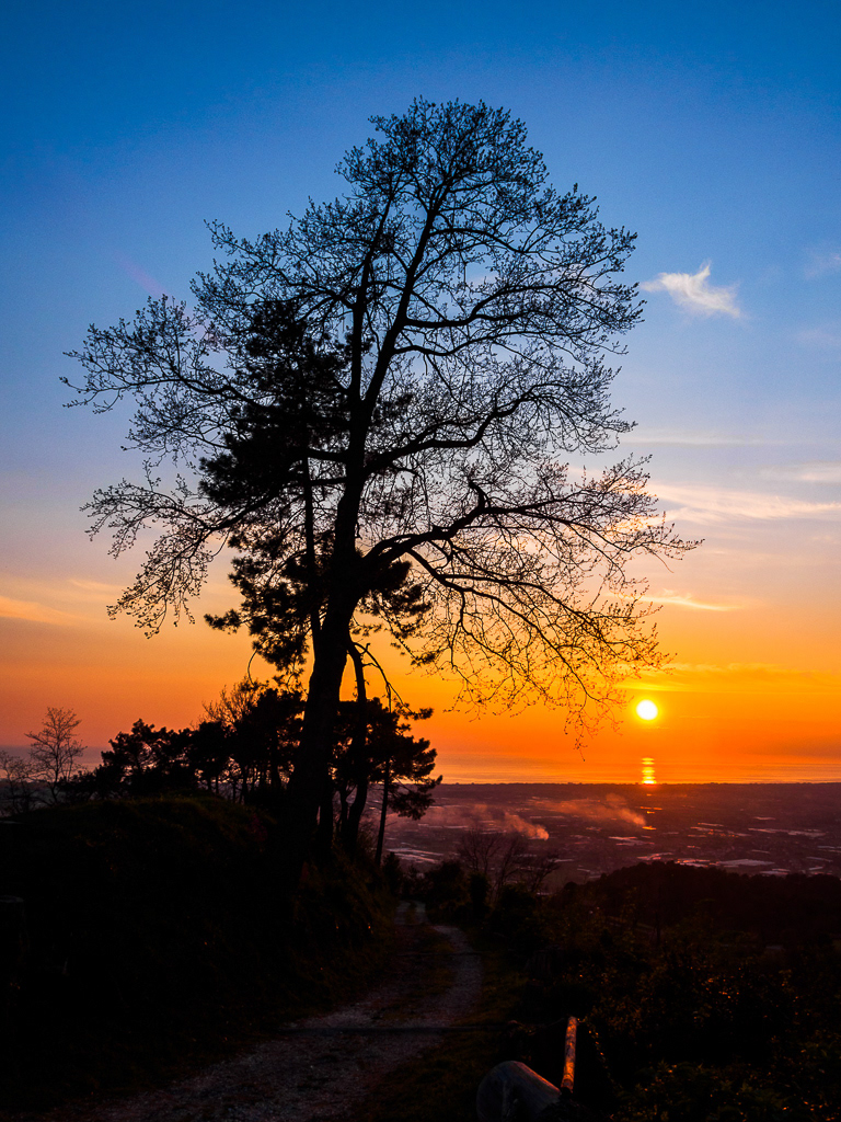 La Versilia al tramonto | Monte d'Oro