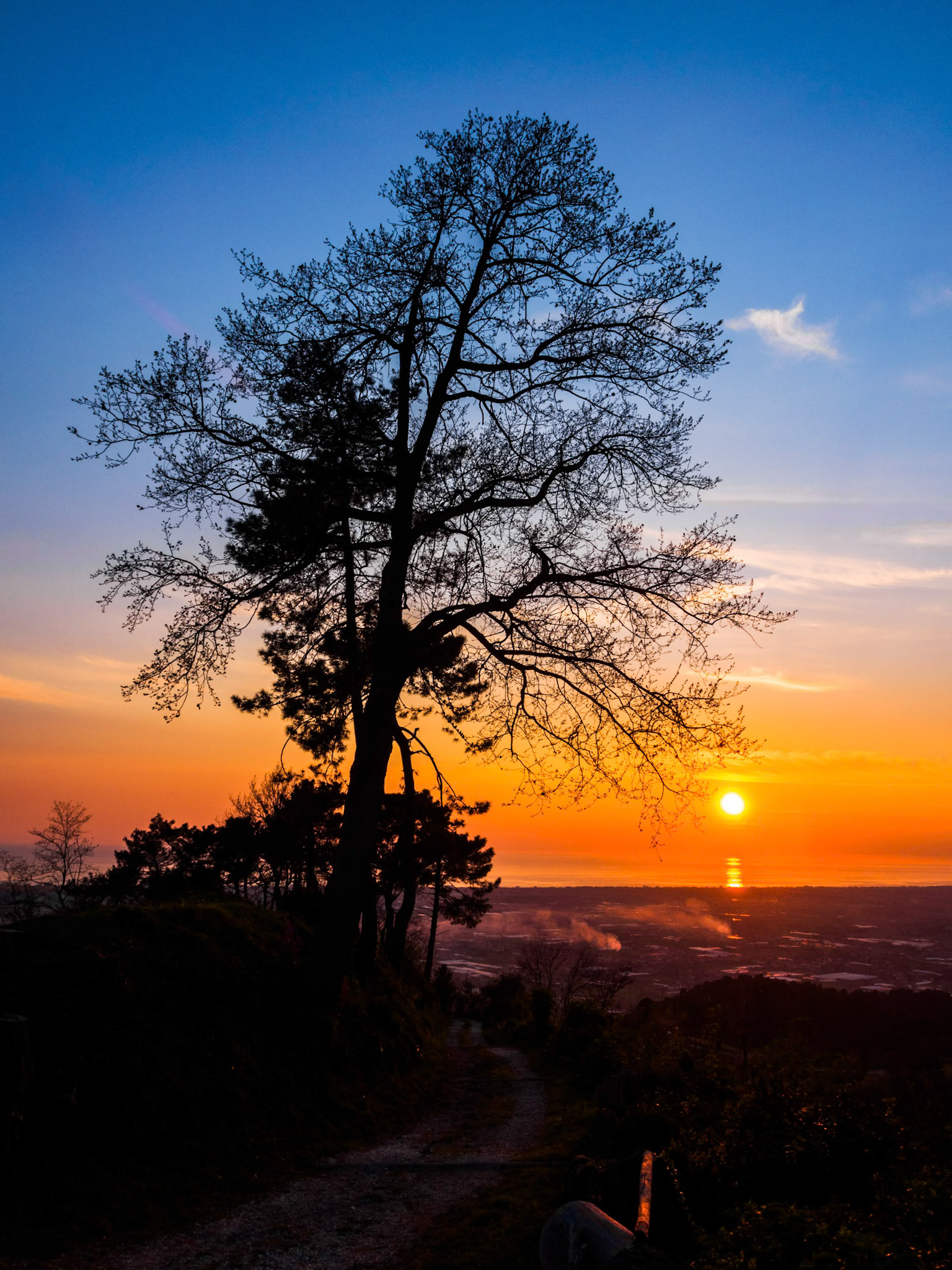 La Versilia al tramonto