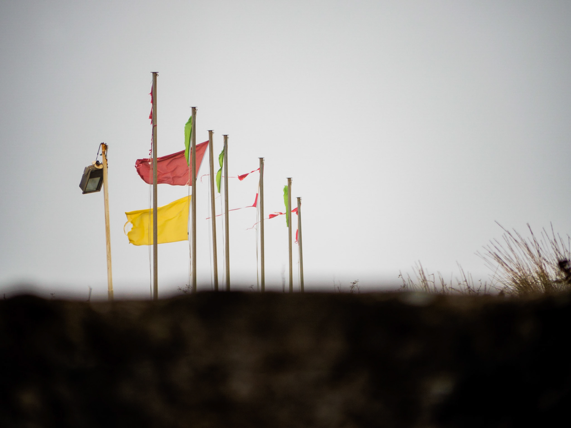 Bandiere al vento lungo la riva del mare - Viareggio