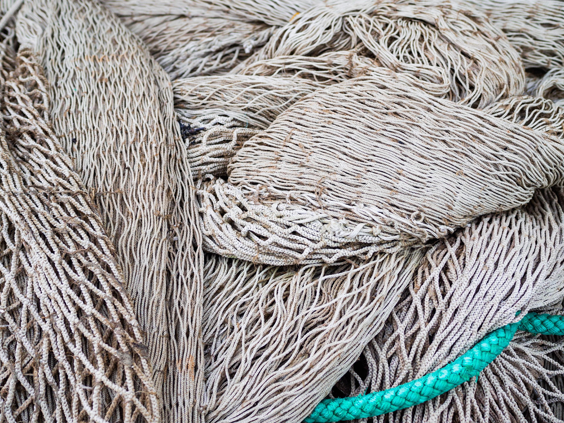 Reti da pesca lungo la banchina del porto - Viareggio, Darsena di Levante