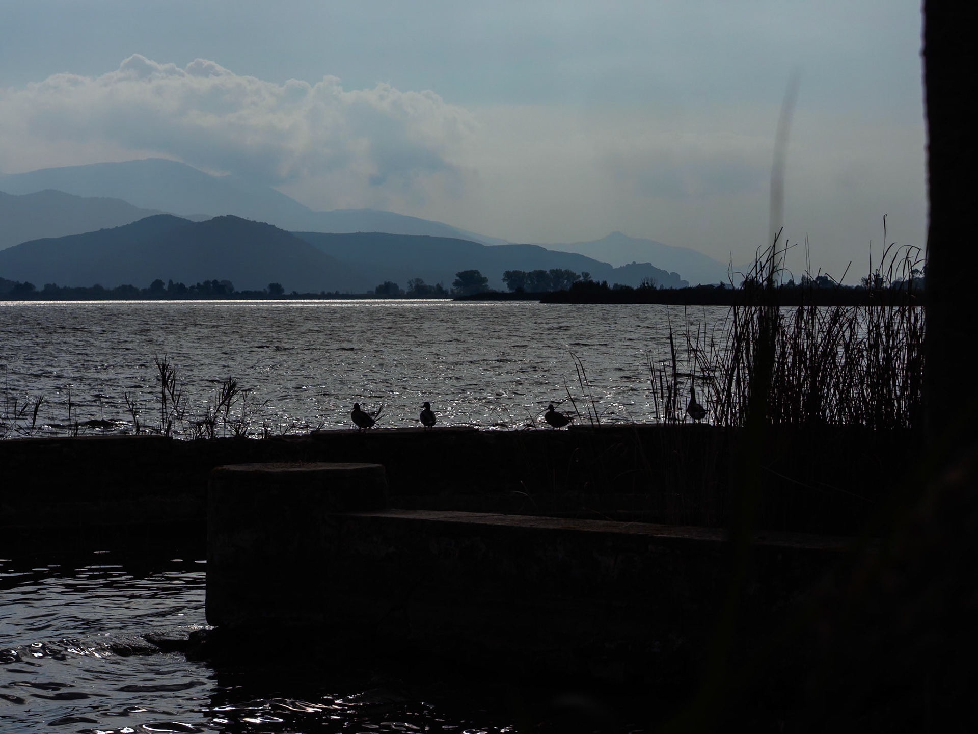 Una domenica mattina di fine settembre a Torre del Lago. L'alba sul lago di Massaciuccoli
