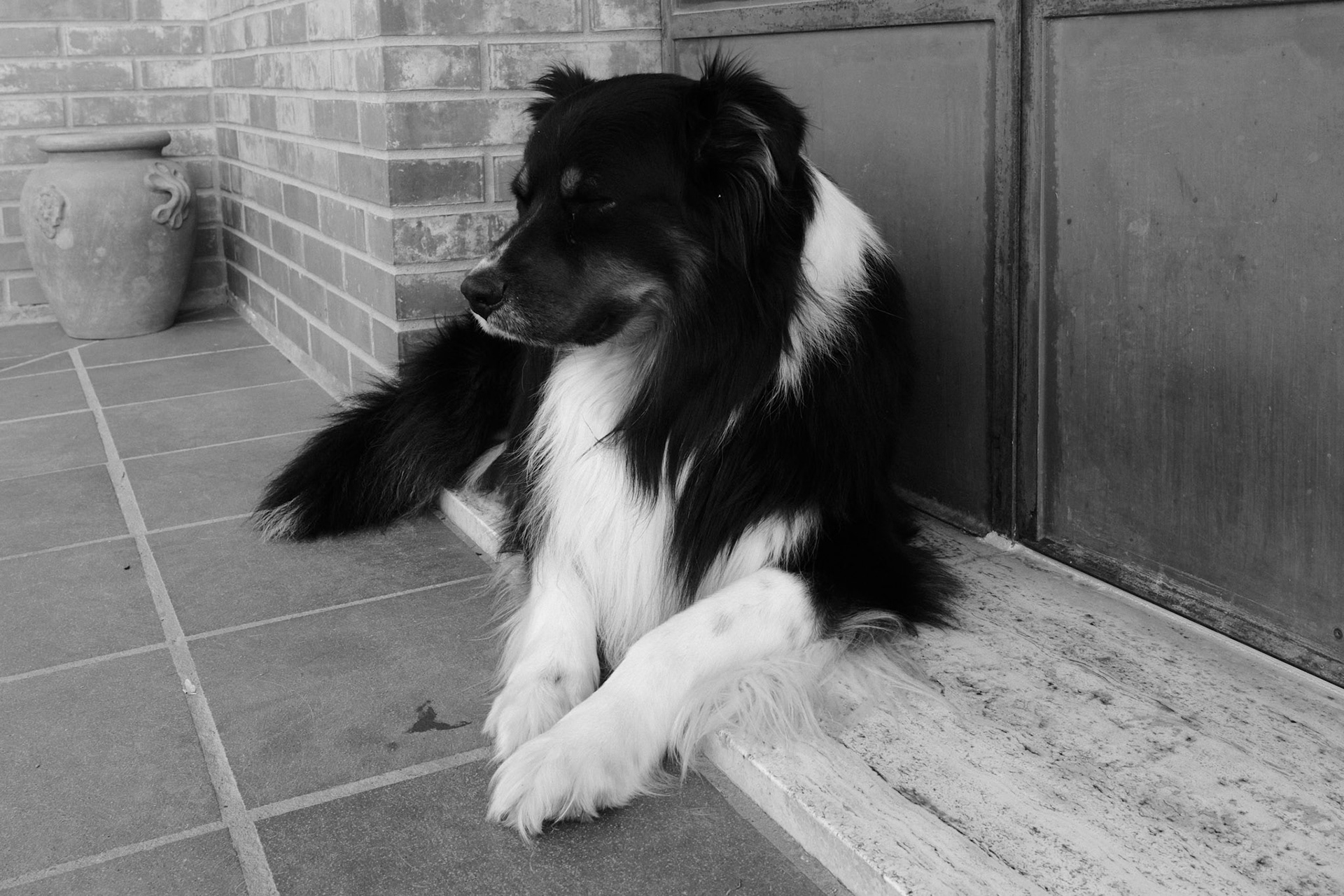 Recipe: Kodak T-Max 100 Hard Tone