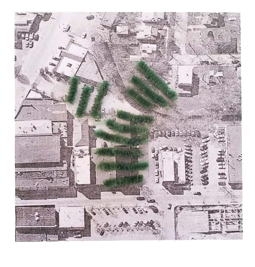 A model of Urban Agriculture.