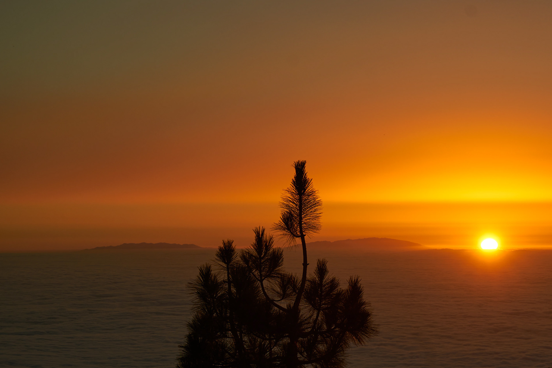 TENERIFE (ISLAS CANARIAS)  Camera: Sony ilce- 7m2 -  Lens: 28-70 (57mm) - Aperture: f/8.0 - Exposure Time8s (1/120) - ISO100 - Date Taken: 2022-07-30 21:58